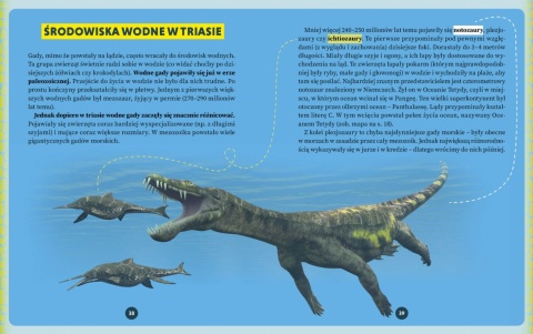 Dinozaury i wielkie ssaki - książka z autografem autora