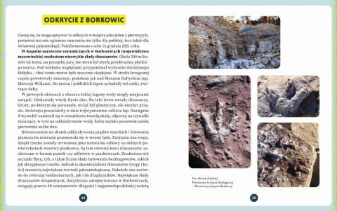 Dinozaury i wielkie ssaki - książka z autografem autora