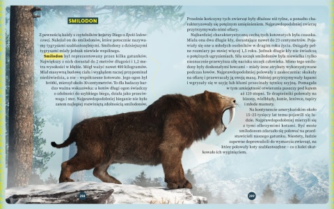 Dinozaury i wielkie ssaki - książka z autografem autora