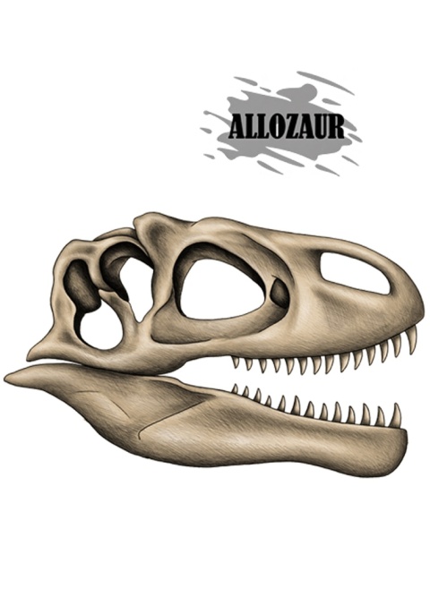 Koszulka czaszka allozaura – preorder