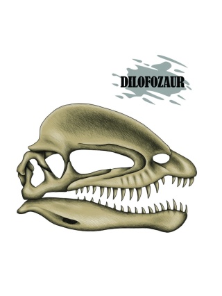 Koszulka czaszka dilofozaura – preorder