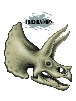 Koszulka czaszka triceratopsa – preorder