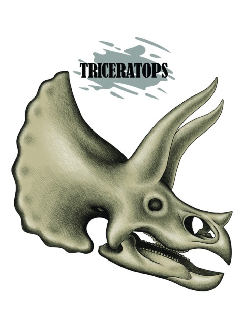 Koszulka czaszka triceratopsa – preorder