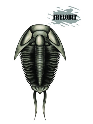 Koszulka trylobit – preorder