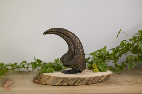 Pazur allozaura - replika