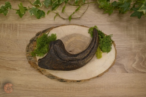 Pazur allozaura - replika