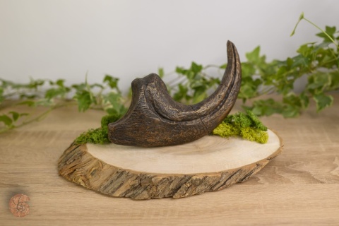 Pazur allozaura - replika