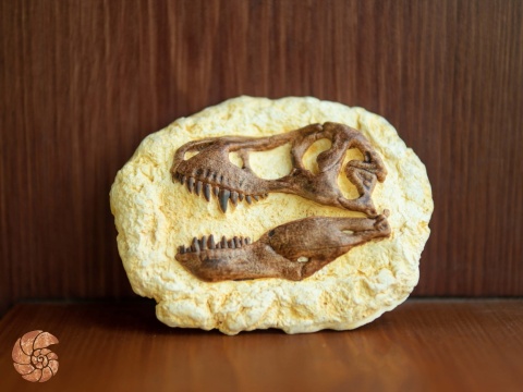 Płaskorzeźba - tyranozaur (magnes na lodówkę)