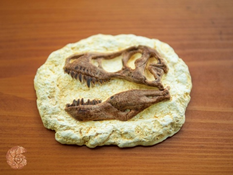 Płaskorzeźba - tyranozaur (magnes na lodówkę)