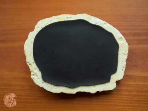 Płaskorzeźba - tyranozaur (magnes na lodówkę)