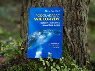Podglądając wieloryby. Historia i przyszłość gigantów z głębin
