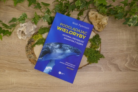 Podglądając wieloryby. Historia i przyszłość gigantów z głębin