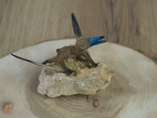 Pterozaur "Nemicolopterus" replika