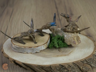 Pterozaur "Nemicolopterus" replika