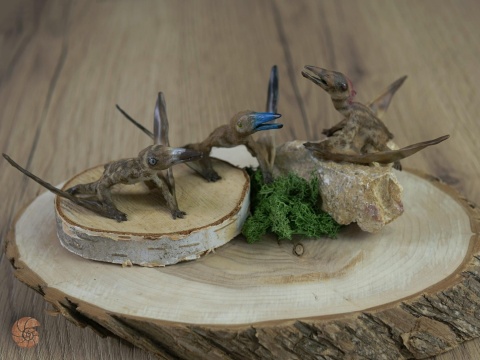 Pterozaur "Nemicolopterus" replika