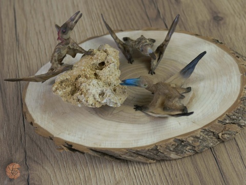 Pterozaur "Nemicolopterus" replika