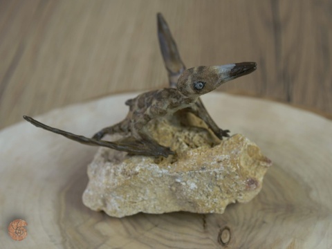Pterozaur "Nemicolopterus" replika