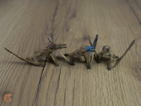 Pterozaur "Nemicolopterus" replika