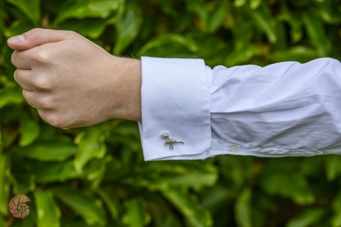 Spinki do mankietów "Dinozaury"