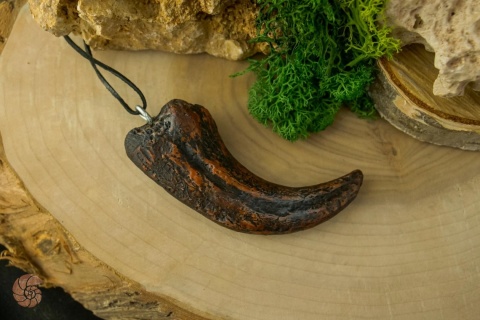 Szpon velociraptora - replika