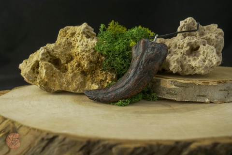 Szpon velociraptora - replika