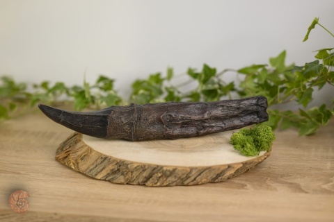 Ząb tyranozaura - replika