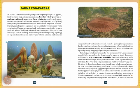 Zanim pojawiły się dinozaury - książka z autografem autora