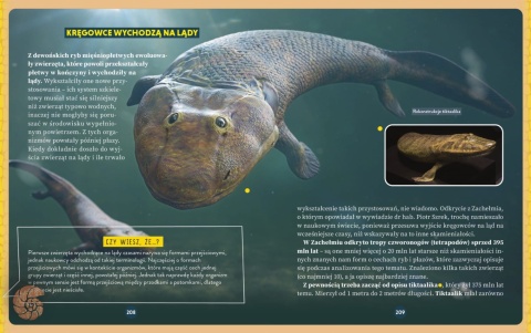 Zanim pojawiły się dinozaury - książka z autografem autora